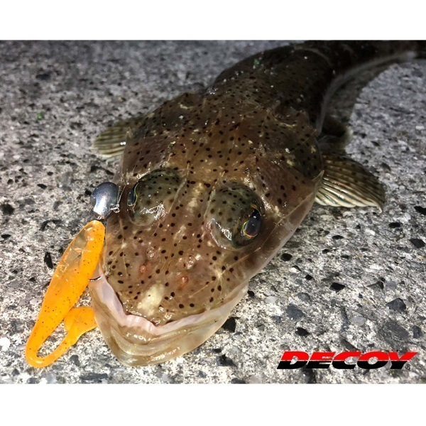 ボトムドライブ SV-53